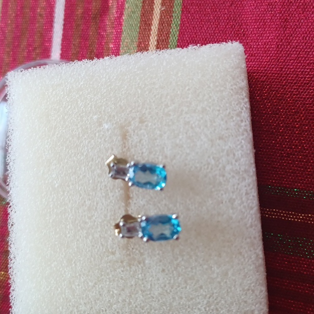 10kt earrings